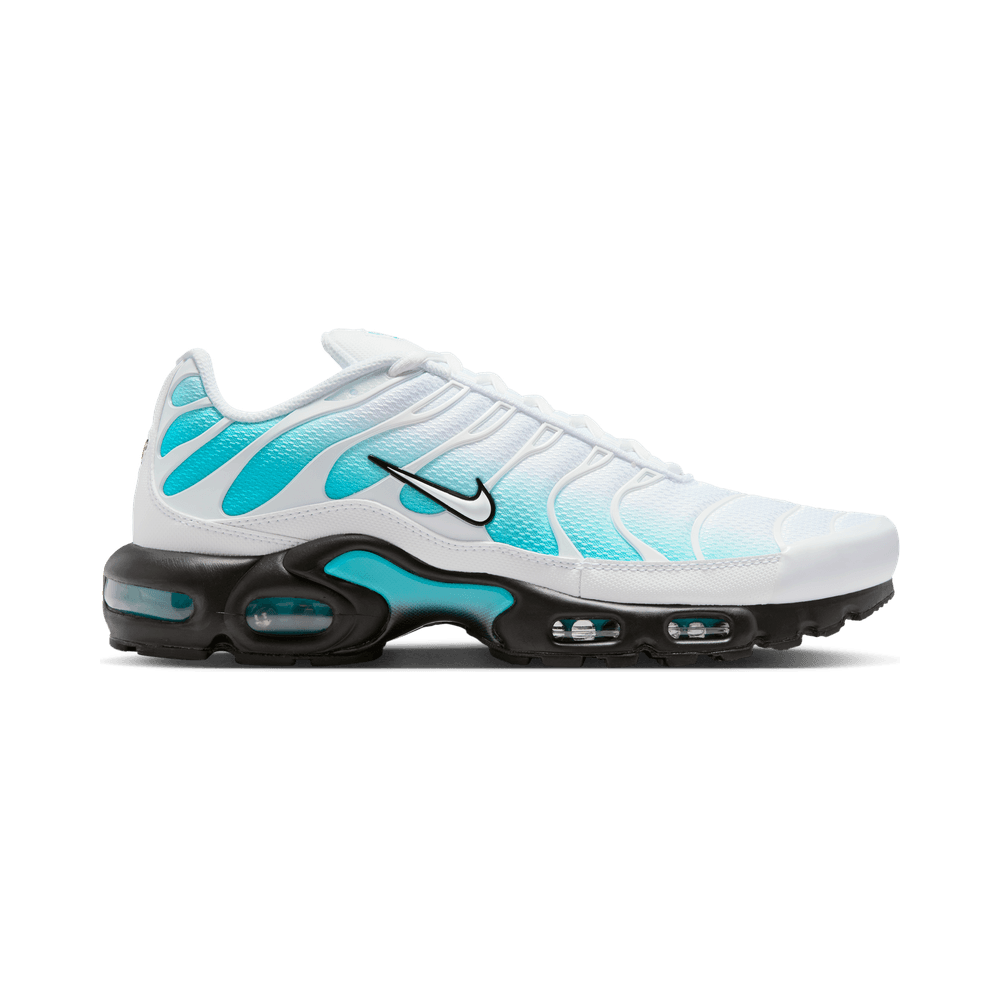 Nike Air Max Plus Cactus poussiéreux